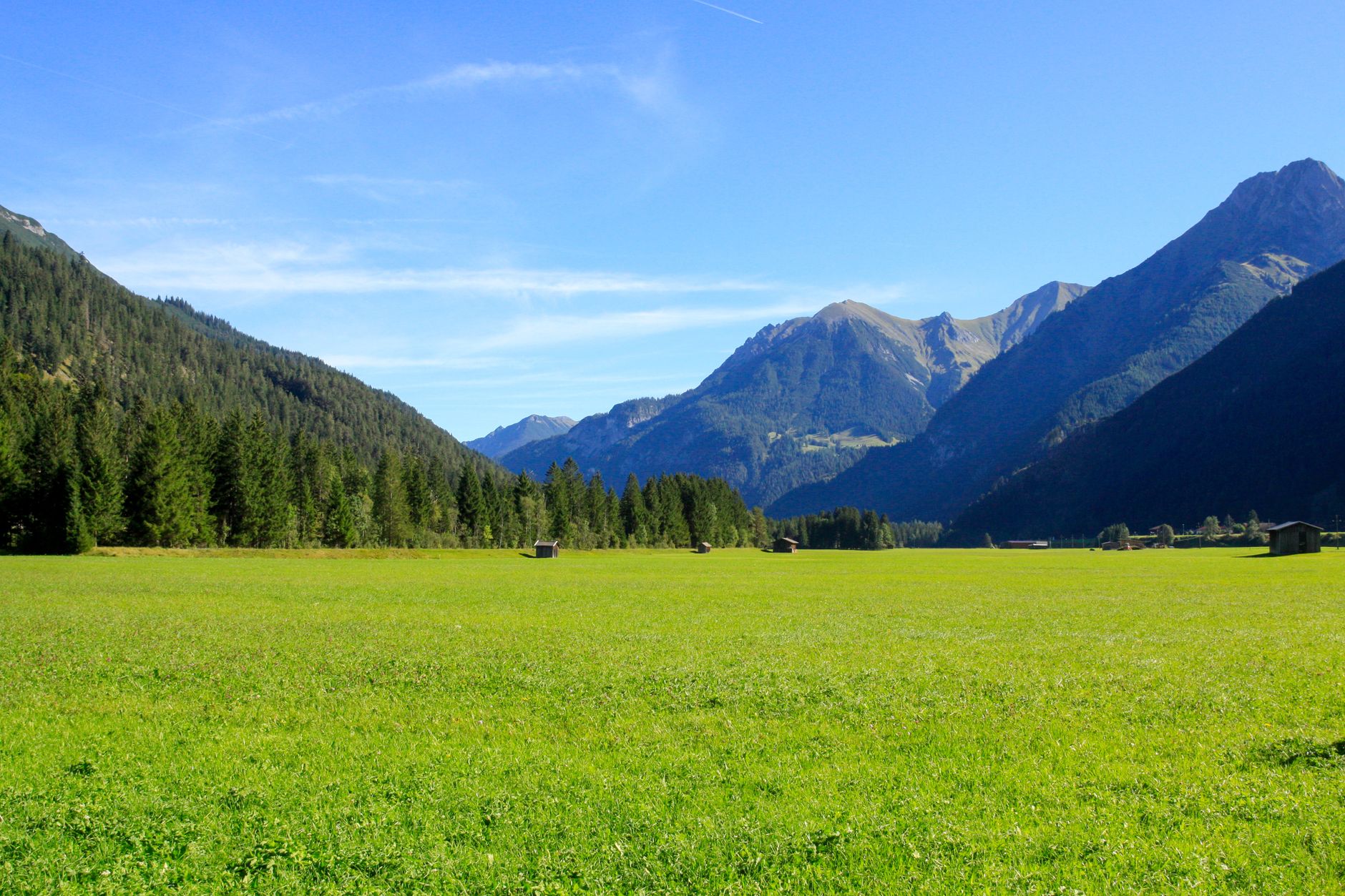 Lush alpine meadow in Val Badia under jagged limestone peaks